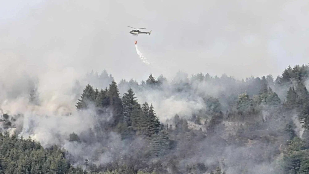 Wildfire Preparedness: How Vehicle Medical Kits and Emergency Equipment Serve as Your First Line of Defence - G&M Medical Supply