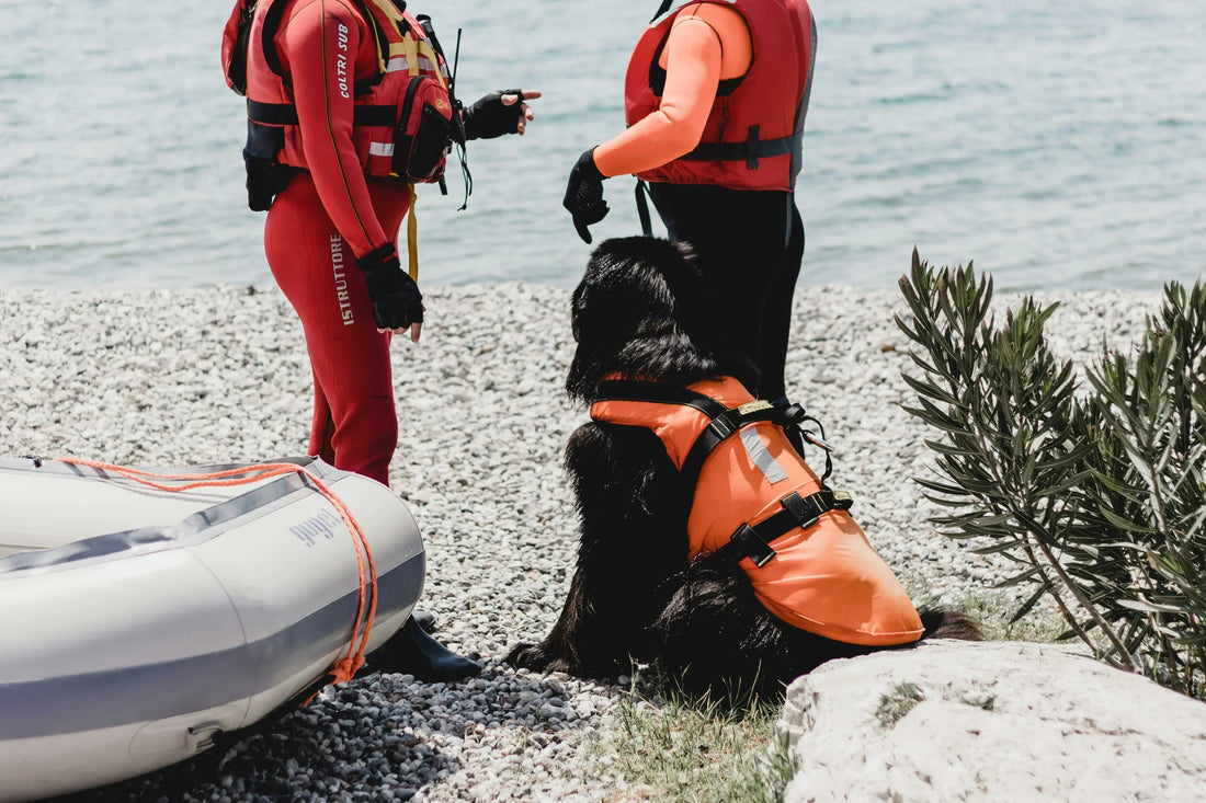 Open Water Safety: Preventing Drowning in Lakes and Reservoirs - G&M Medical Supply